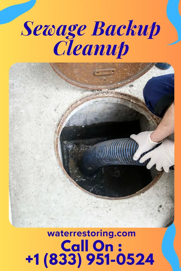 Sewage Backup Cleanup in Balltown, IA