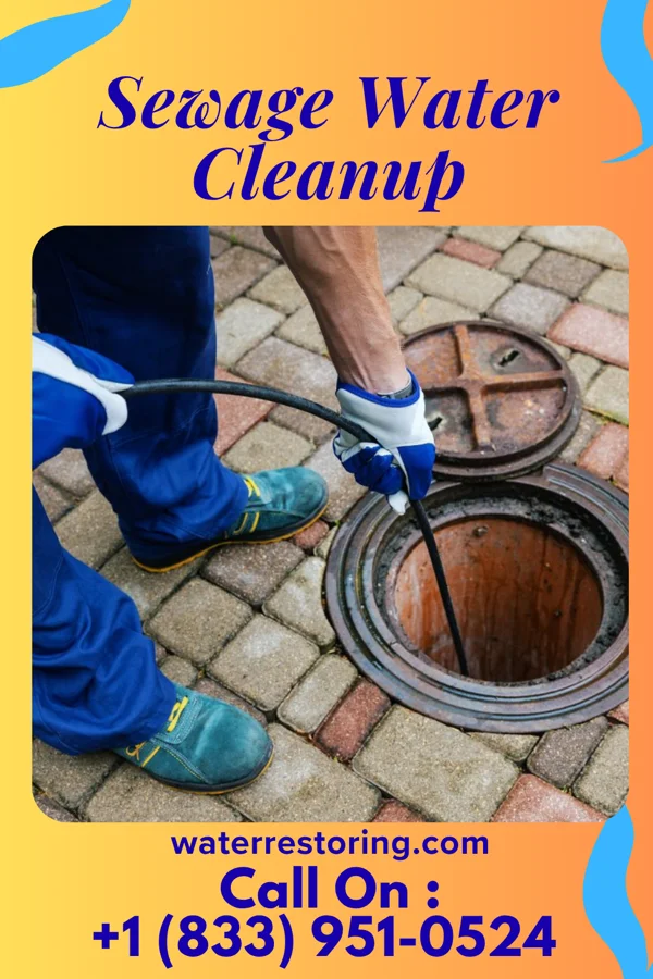 Sewage Water Cleanup in Balltown, IA