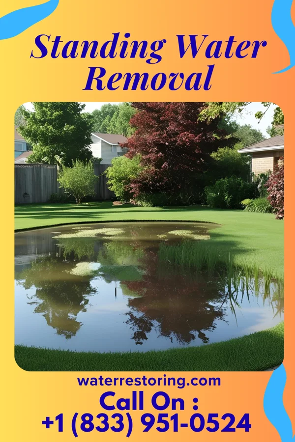Standing Water Removal in Balltown, IA